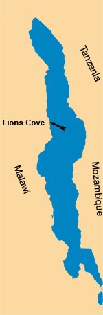 Kaart Malawimeer Lions Cove