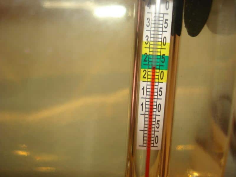 Aquarium thermometer 2e dag