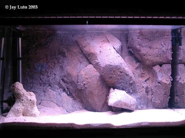 Aquarium gevuld met water