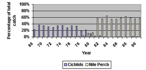 Tabel vangsten cichliden vs nijlbaars