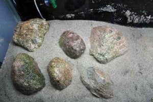 Zand als bodembedekking in Tanganyika aquarium